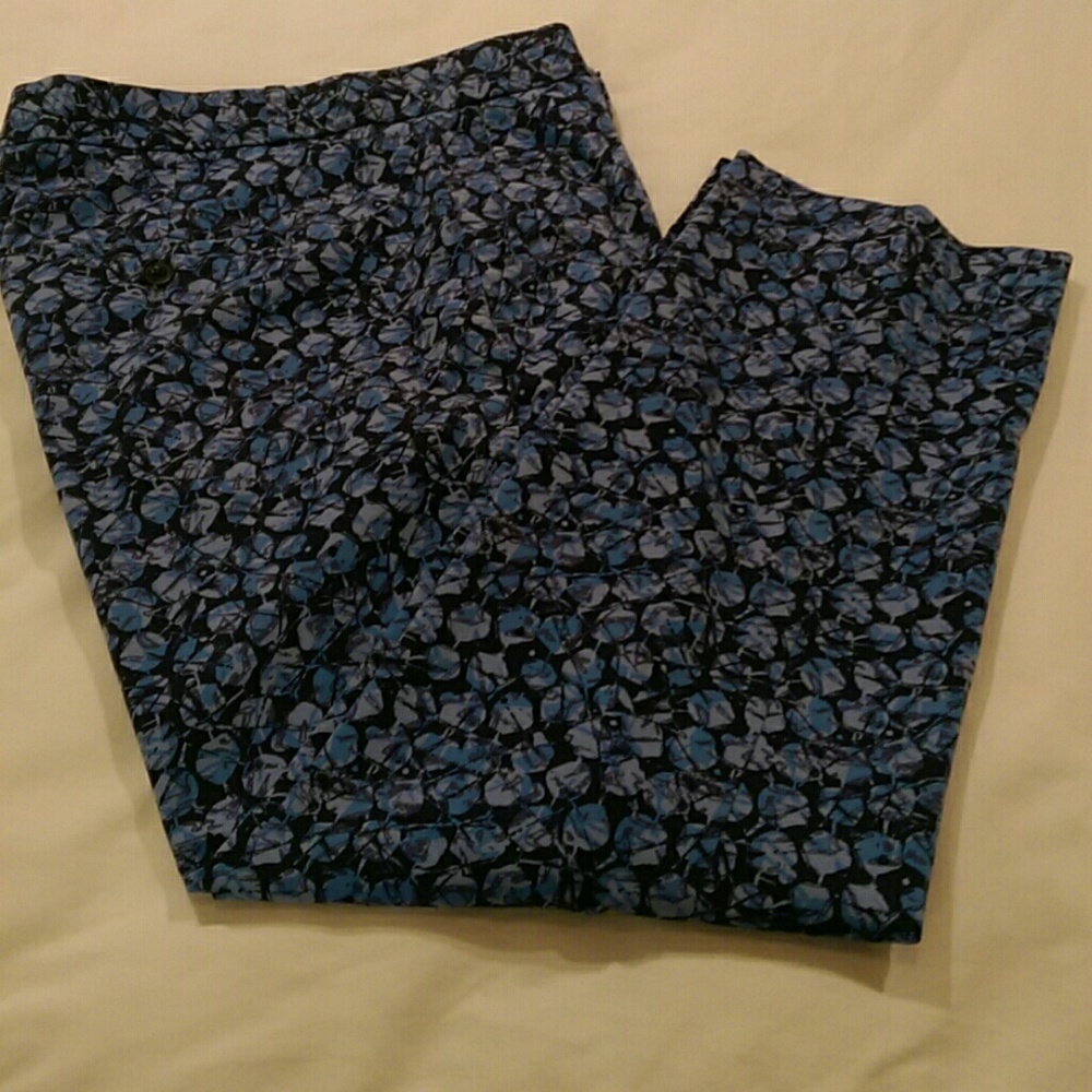 Banana Republic Avery Blue Print Pants